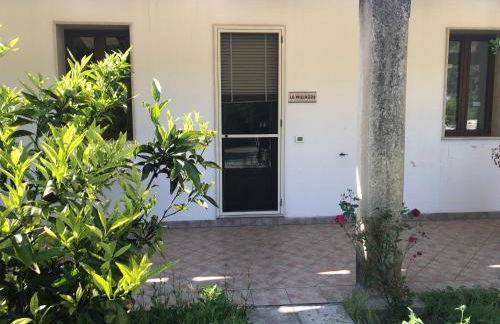 Masseria Cinti - Foto 33