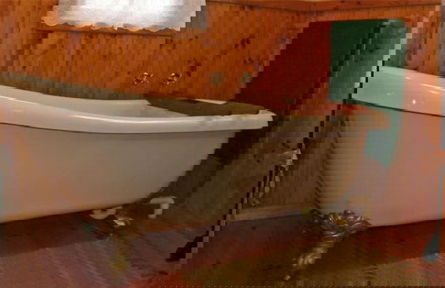 Forest Edge - Foto 50