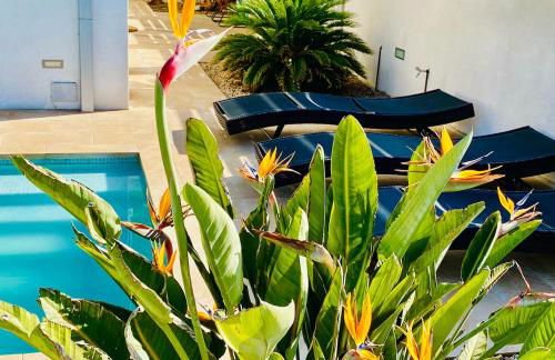 Villa Isla Bonita - Foto 33