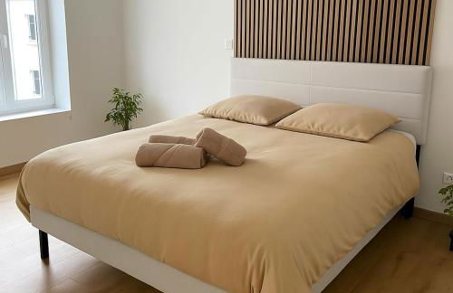 Le Refuge Balnéo - Nature & Bien-Être à Saint Dié - Foto 15