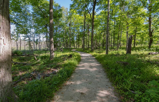 The Rushes - Foto 62