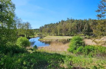 Leśna Przystań Bory Tucholskie - Foto 15