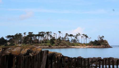 Flik-en-flac - Appartement à 20m de la plage - Foto 3