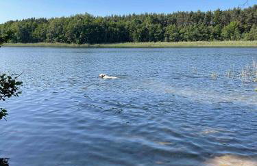 Sercem i Kopytem - Foto 35