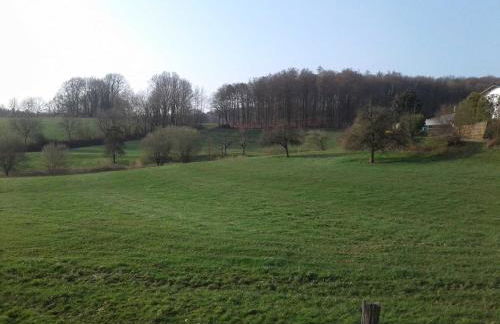 Kreuzdellenhof - Ferienwohnung - Foto 13