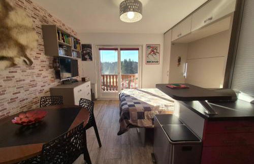 Cozy apartment "WAPITI" at the foot of the slopes - Foto 10
