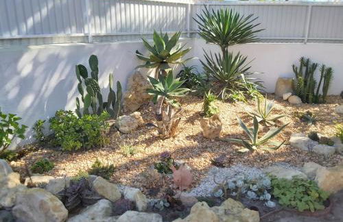 Casa dos Malmequeres - Photo 8