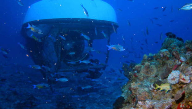 Pendant le voyage en sous-marin