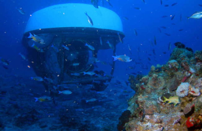 Paseo en submarino por Cozumel - Foto 5