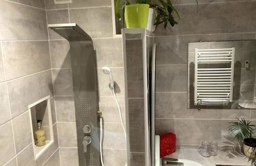 Le Passage du Faubourg, agréable T3 en duplex de 120m2 - Foto 29