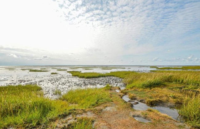 4 Person Holiday Home in Skaerbaek-by Traum - Foto 36