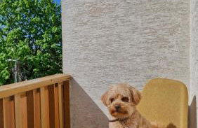 Apartament przy Parku Saskim (600 metrów od Ratusza) - Foto 40