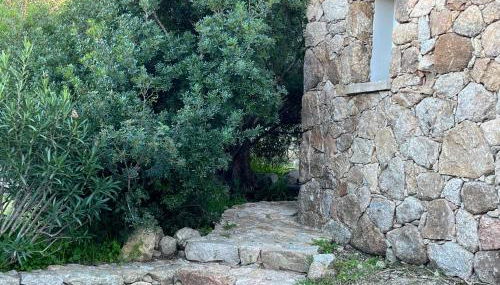 La campagne au bord de la mer - Foto 5