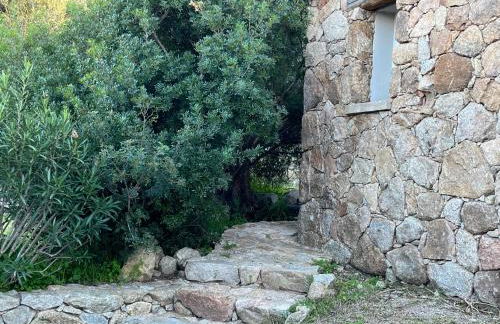 La campagne au bord de la mer - Foto 5