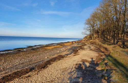 SeeStern Strandnahe Wohnung in Hohen Wieschendorf - Foto 46