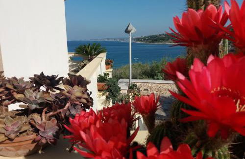 Appartamenti Baia Azzurra - Foto 17