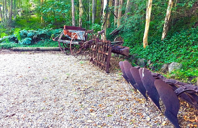 Ecostudio Fellini - Foto 52