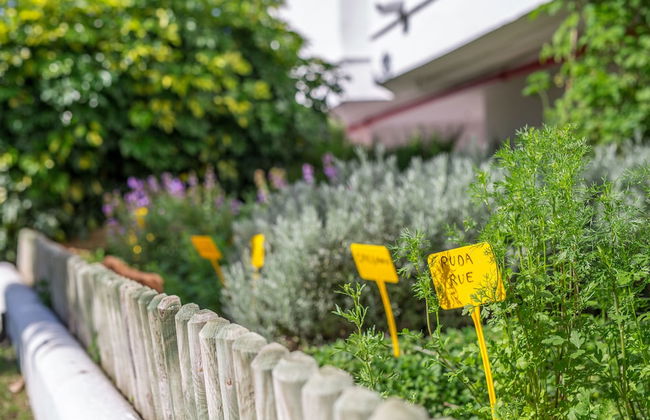 Sahara Sunset - Foto 36