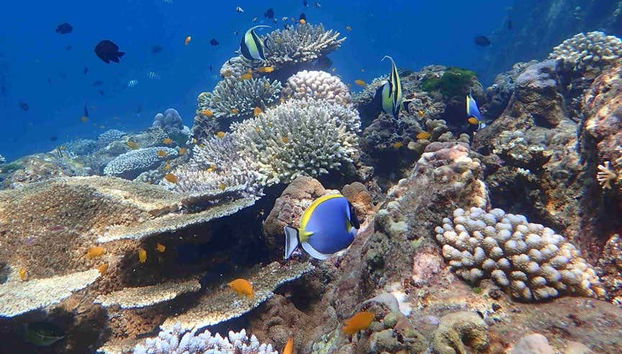 Crucero por las islas Phi Phi - Foto 5