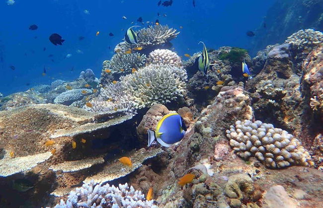 Giro in barca alle isole Phi Phi - Foto 5