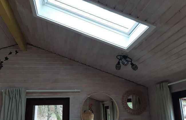 Comfort Sauna 4p in Uelsen - Foto 17