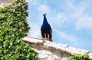 Casa Rural Torre Gargallo - Foto 16