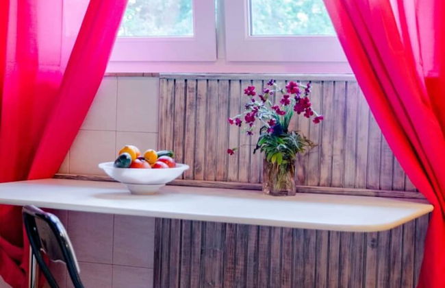 Studio Apartment Silvana - Studio Apartmen Near the Park - Foto 16