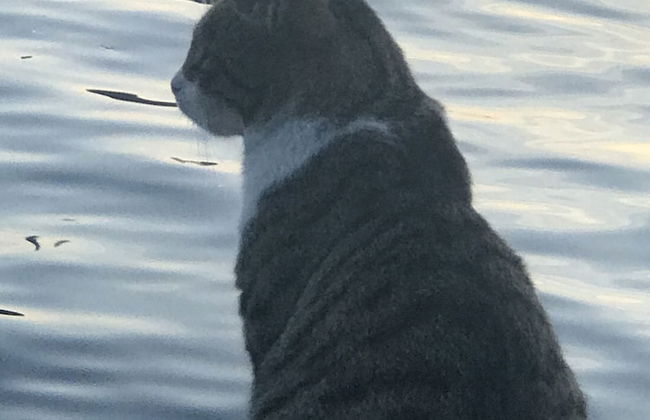 Istanbul Teras - Foto 18