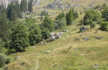 Gîte Les Grands Champs - Foto 63