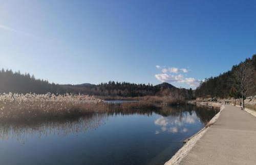 Holiday Home Lana - Foto 13