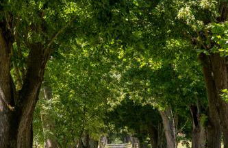 Ferrassou - château et ferme - Foto 50