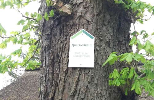 Reetdach Ferienhaus nahe Ostseebad Kühlungsborn - Foto 28