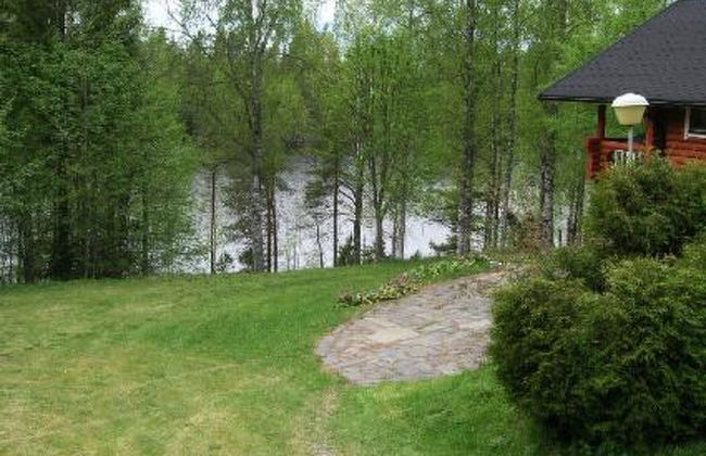 Koivurinne - Foto 32