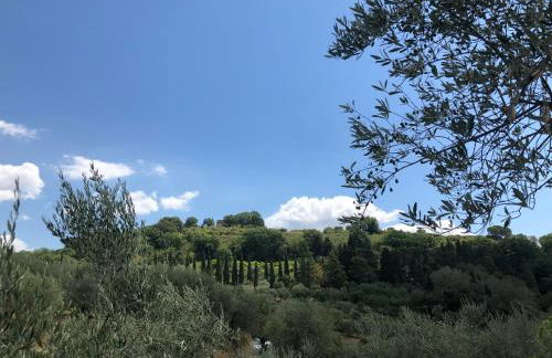 Montevenere 83 - Foto 7