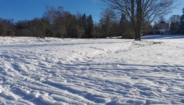 Ferienwohnung Sonnenschein mit kleinem Bauernhof - Foto 2