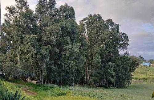 La Casita en finca La Guindilla - Foto 20