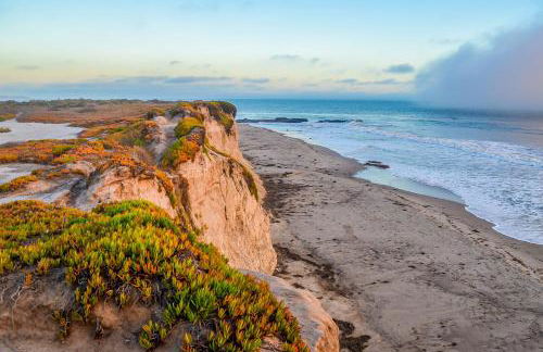 Julia Metelmann - Foto 16