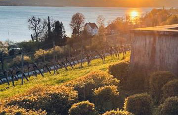 ROSMARIN - Kuschelige Fewo - Romantik & Entspannung im Whirlpool auf privater Terrasse, Ruhe & Hund willkommen - by FerienWohnenAmSee - - Foto 40