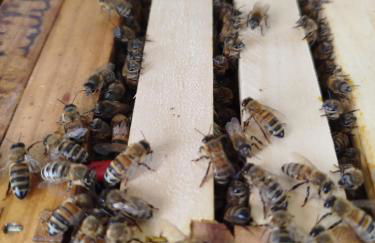 Bed and Bike Rheine - Foto 44