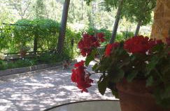 Cortijo el Cercadillo - Foto 14