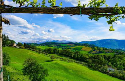 Agriturismo Pascucci - Foto 42