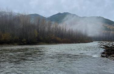 Cascade River Bungalow in the North Cascades - Foto 25