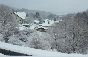 Holzhaus Chalet Nationalpark Eifel Hund willkommen - Foto 34
