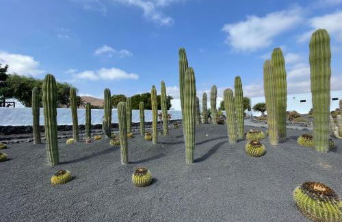 Izaro Apartamento Atico de Lujo cerca de Playa Dorada - Foto 73