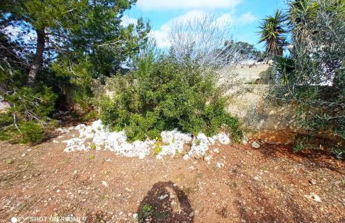 VILLA IL PIGNO ZONA MALDIVE DEL SALENTO - Foto 19