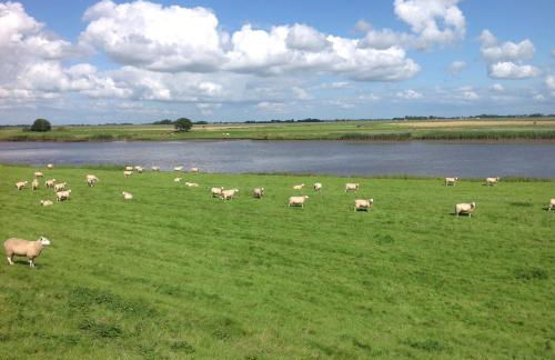 Ferienhaus-Hemmerdeich an der Eider - Foto 27
