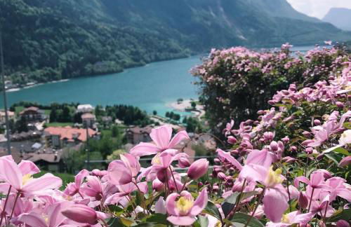 Villa Gardenia Molveno - Foto 40