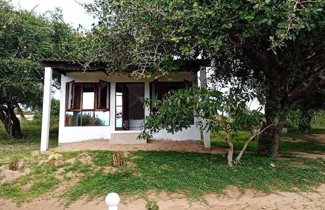 Restaurante Calor Tropical - Photo 67