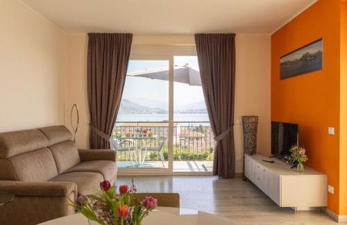 Agrifoglio - Foto 56