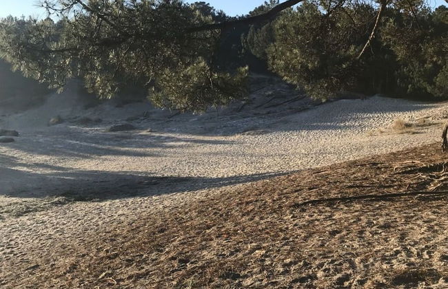 Holiday Apartment Salt and Dunes - Foto 5